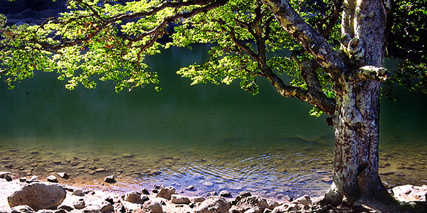 Laguna Negra